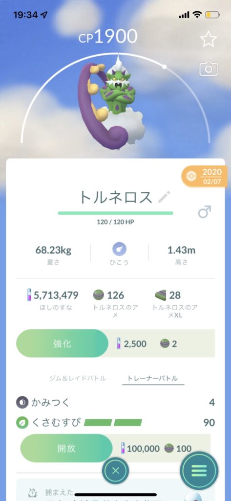 トルネロス詳細