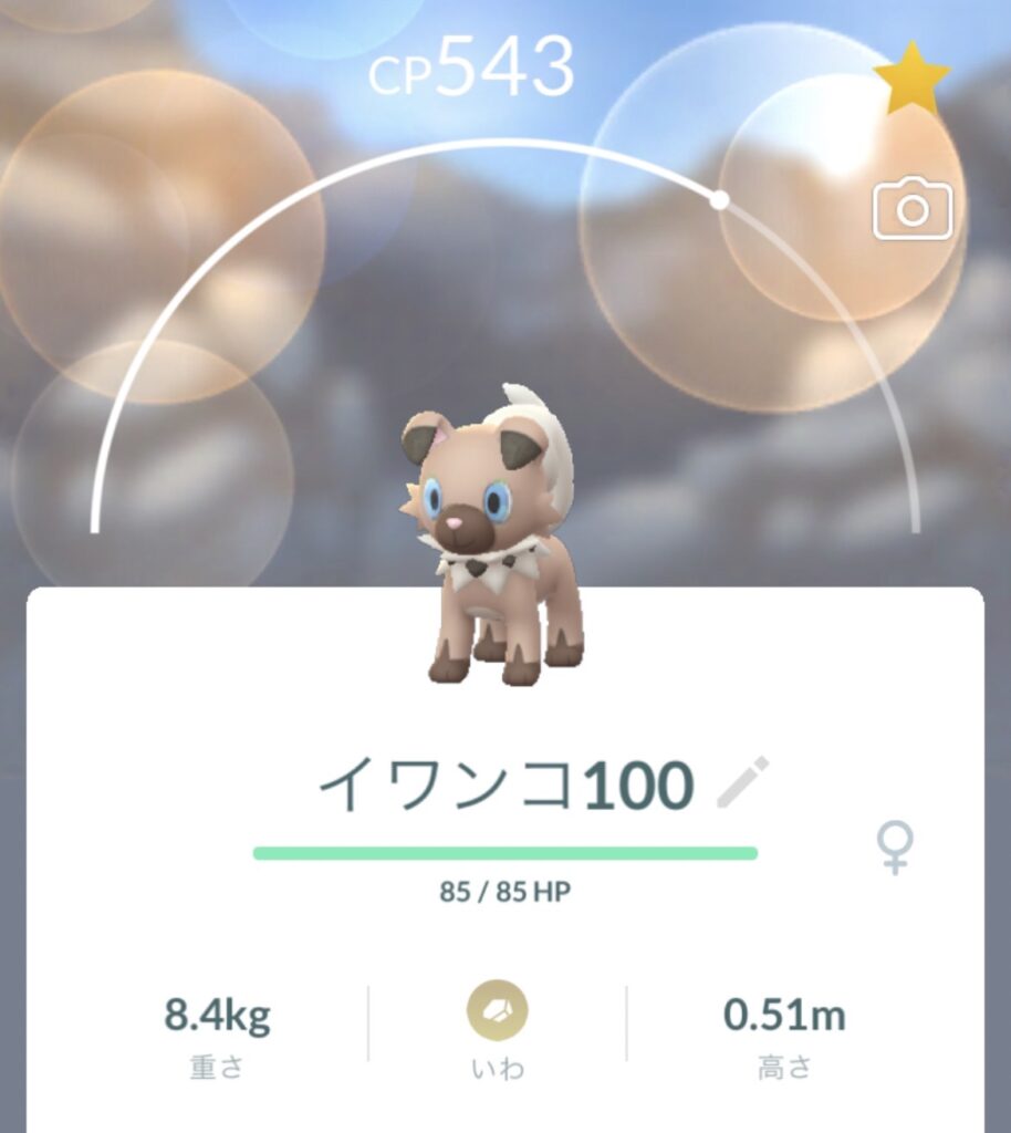 ポケモンgo イワンコの進化先おすすめはどっち たそがれの姿も考察します ぽけごブログ